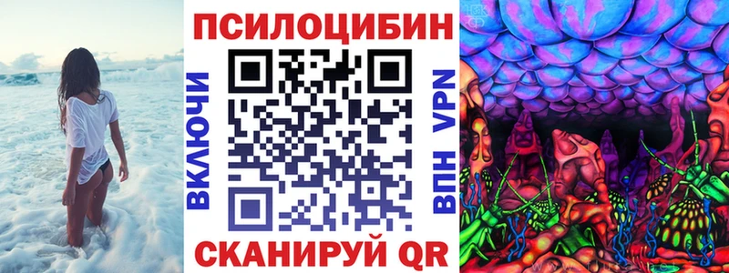 Купить где  Волхов  Галлюциногенные грибы ЛСД 